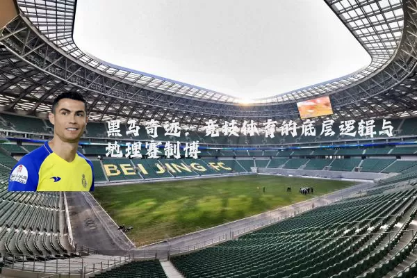 黑马奇迹:竞技体育的底层逻辑与地理赛制博弈